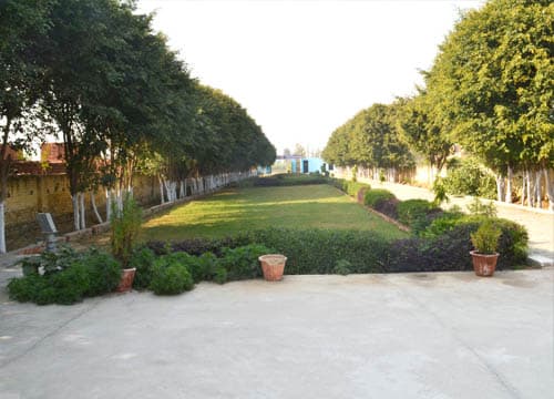 Shiva Education Institute