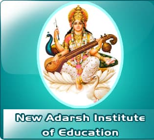 New Adarsh Institute of Education logo - Ghaziabad, Uttar Pradesh