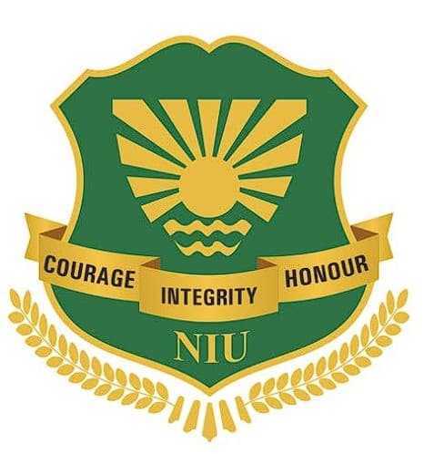 Noida International University School of Nursing & Health Sciences logo - Gautam Buddha Nagar, Uttar Pradesh